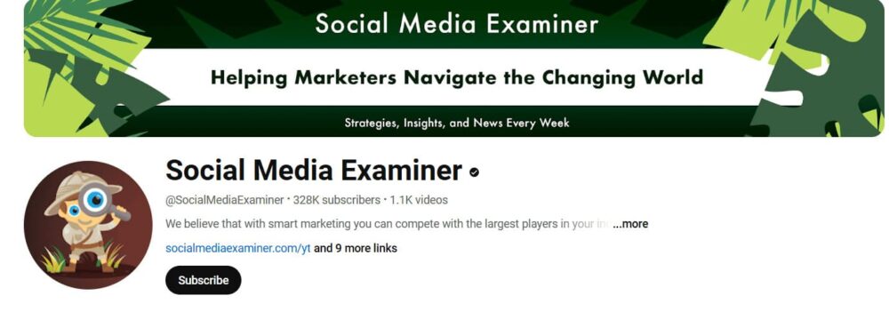 Social-media-examiner